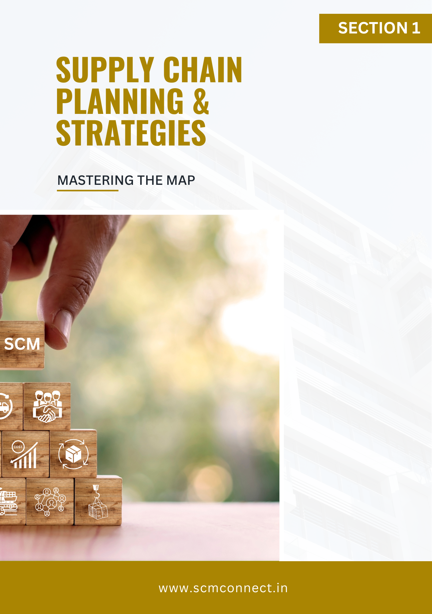 Supply Chain Planning & Strategies